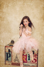 Swan Queen Tulle Dress